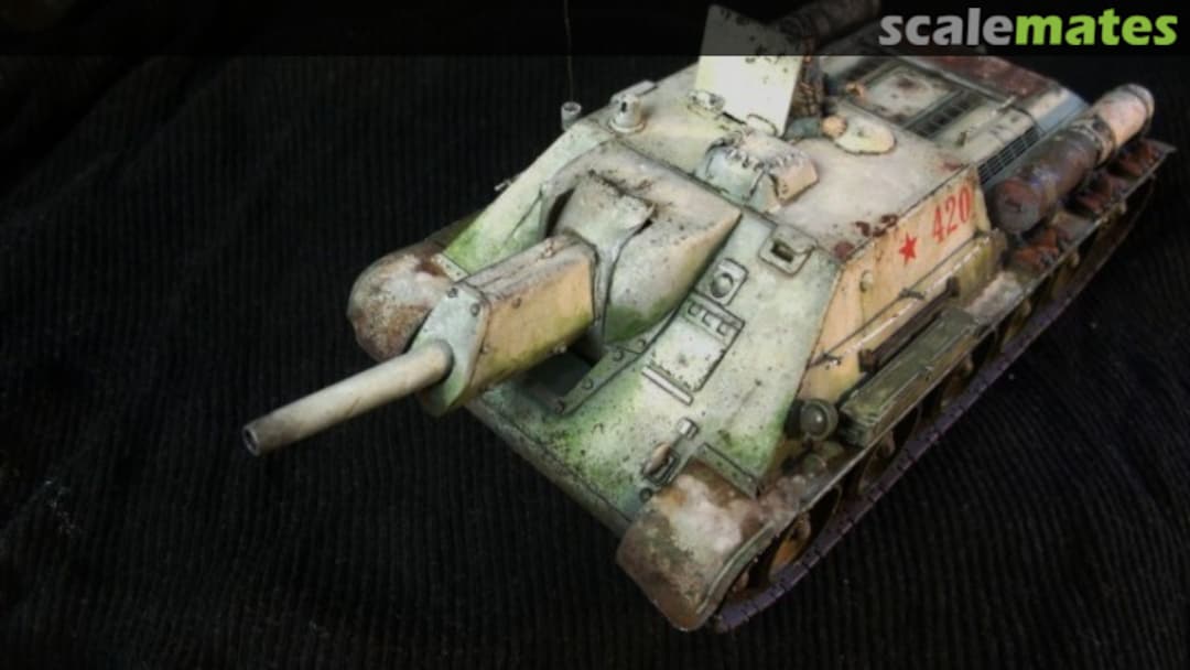 View album, image #11 View album, image #11