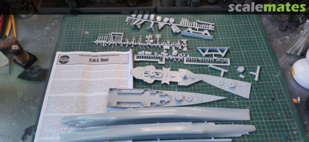 View album, image #1 View album, image #1