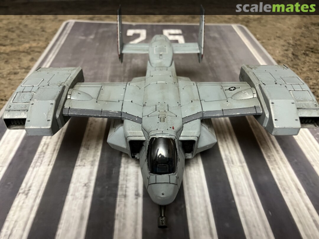 View album, image #7 View album, image #7