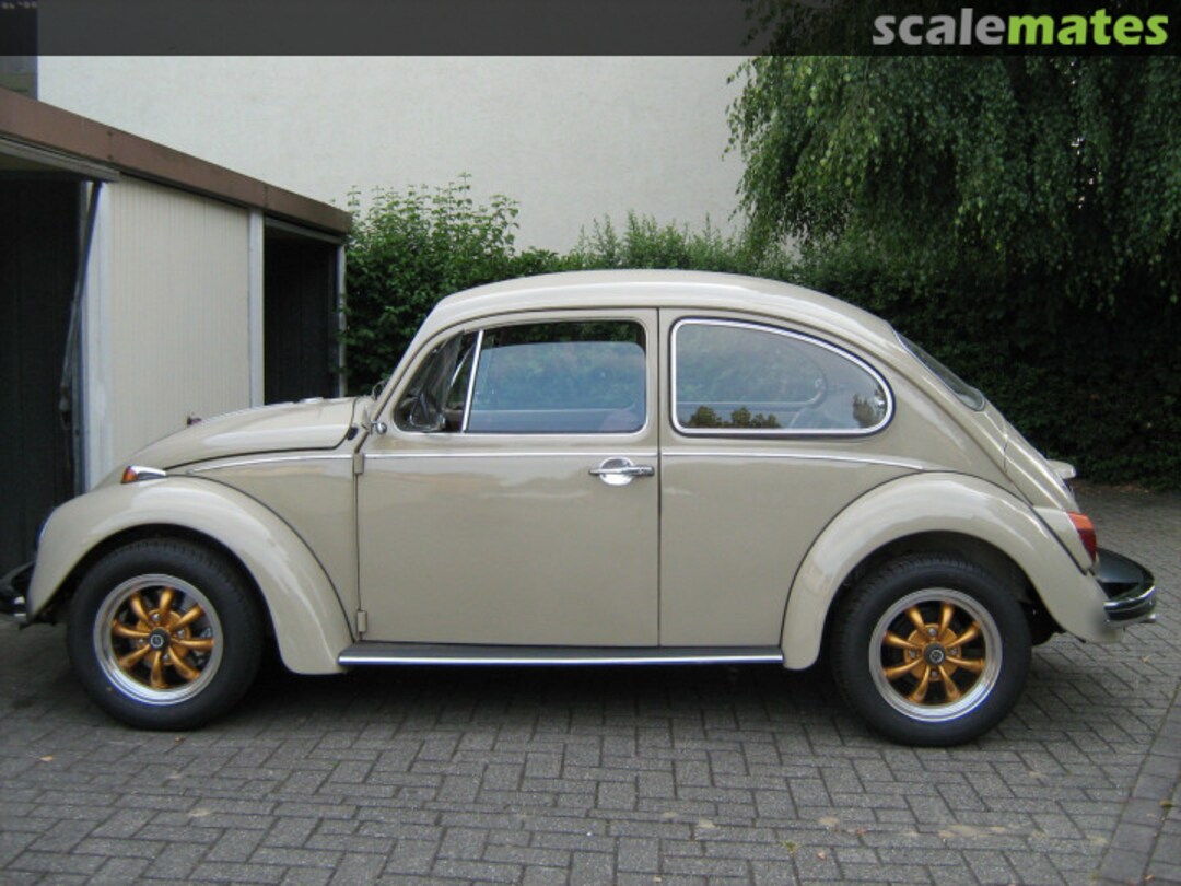 View album, image #1