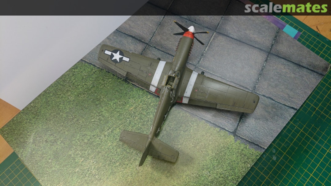 View album, image #9 View album, image #9