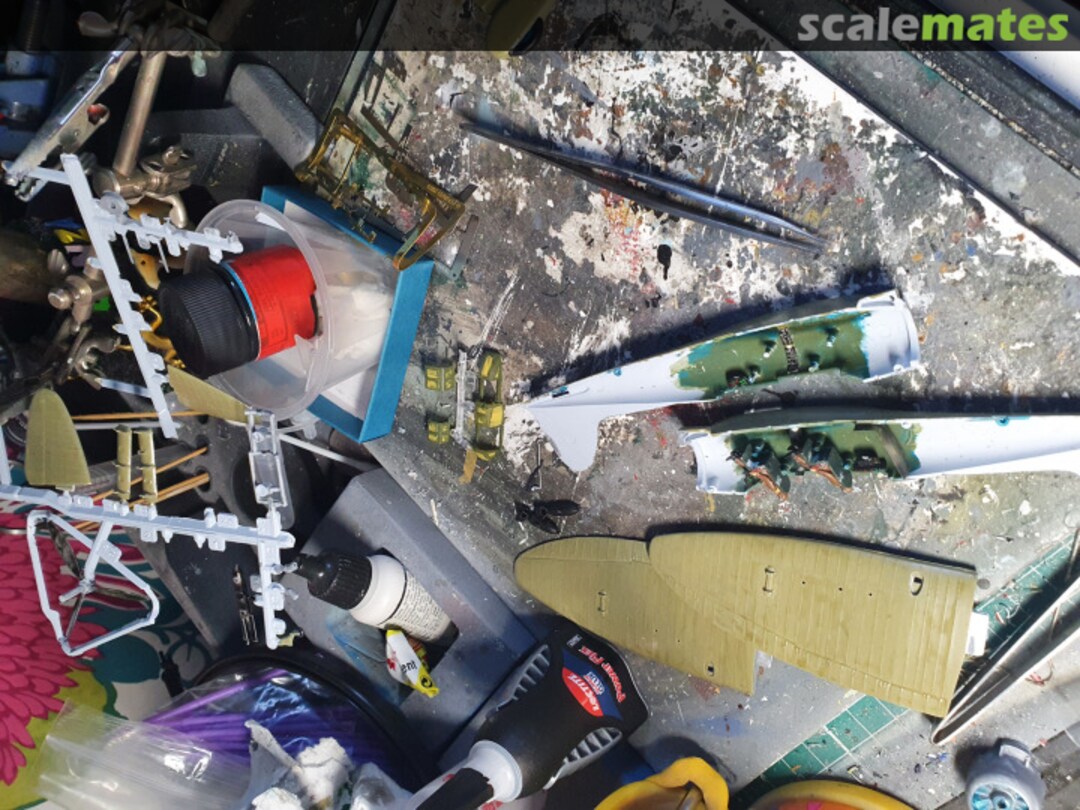 View album, image #1 View album, image #1