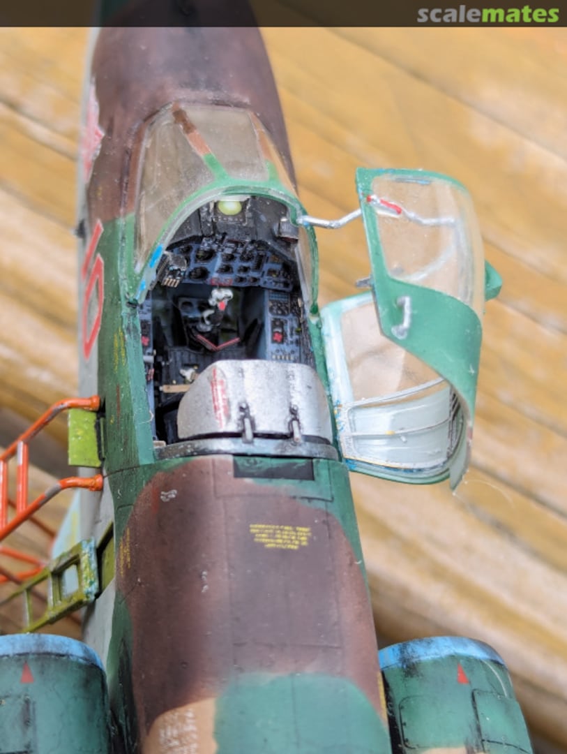 View album, image #1 View album, image #1