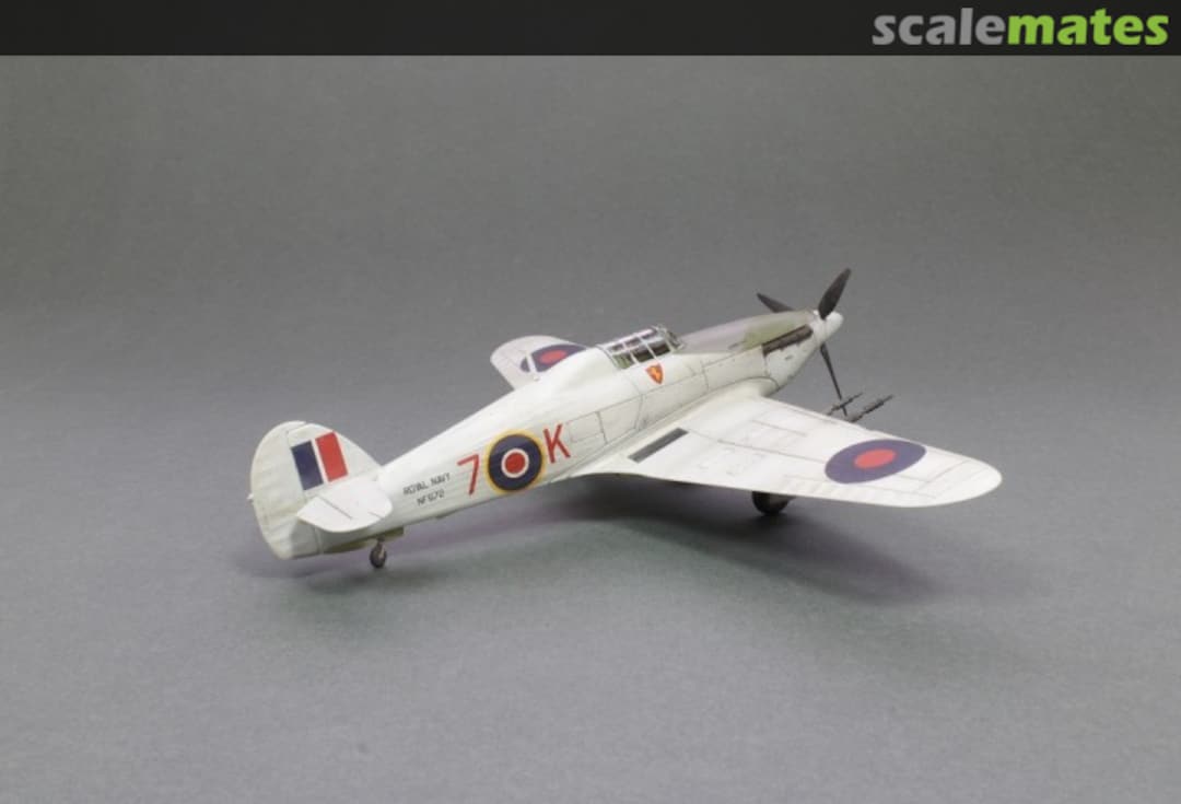 View album, image #7 View album, image #7