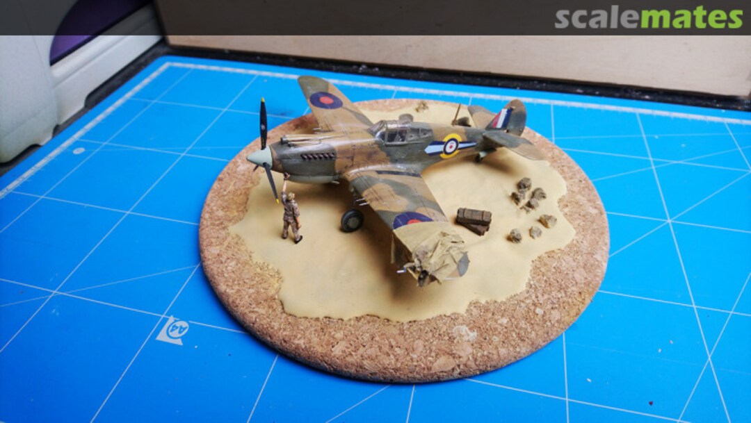 View album, image #1 View album, image #1