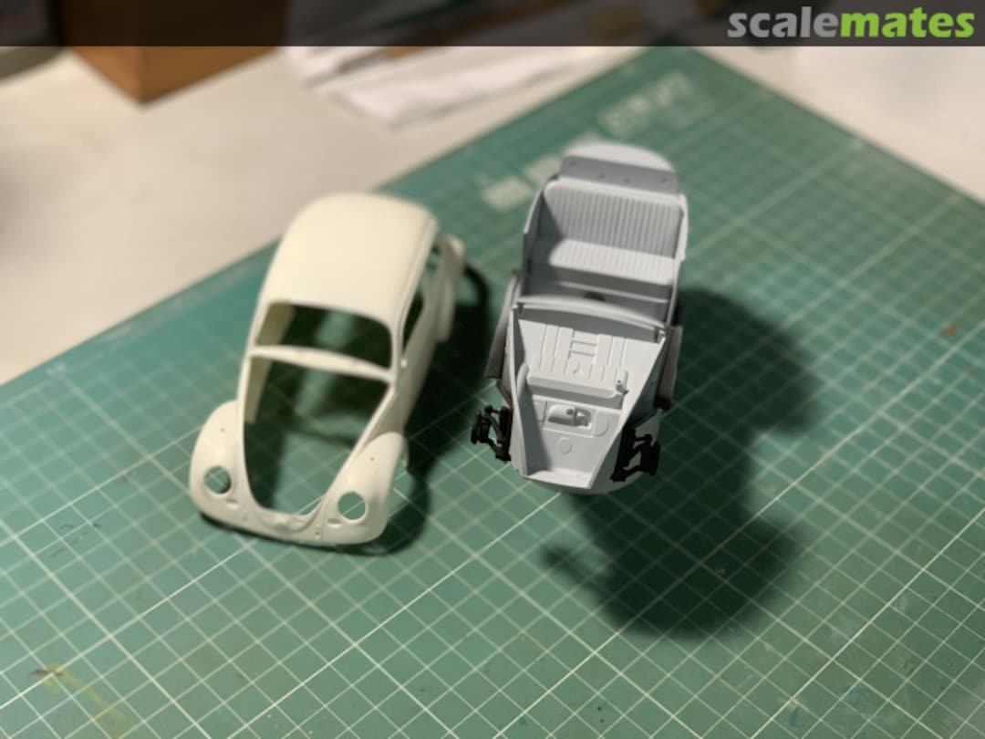 View album, image #1