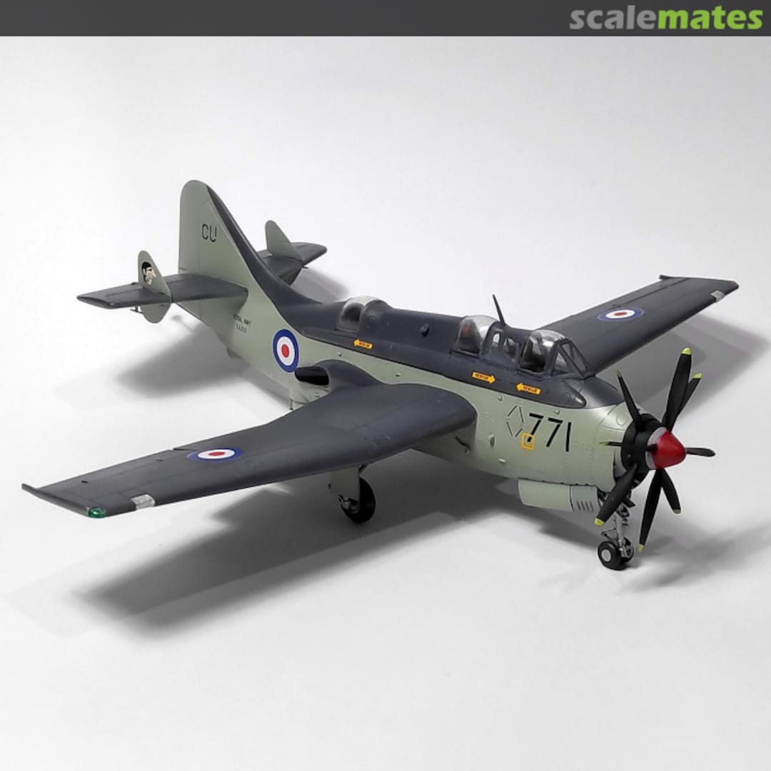 View album, image #5