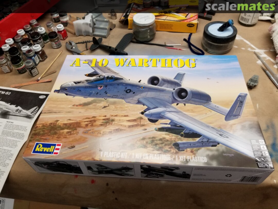 View album, image #1 View album, image #1