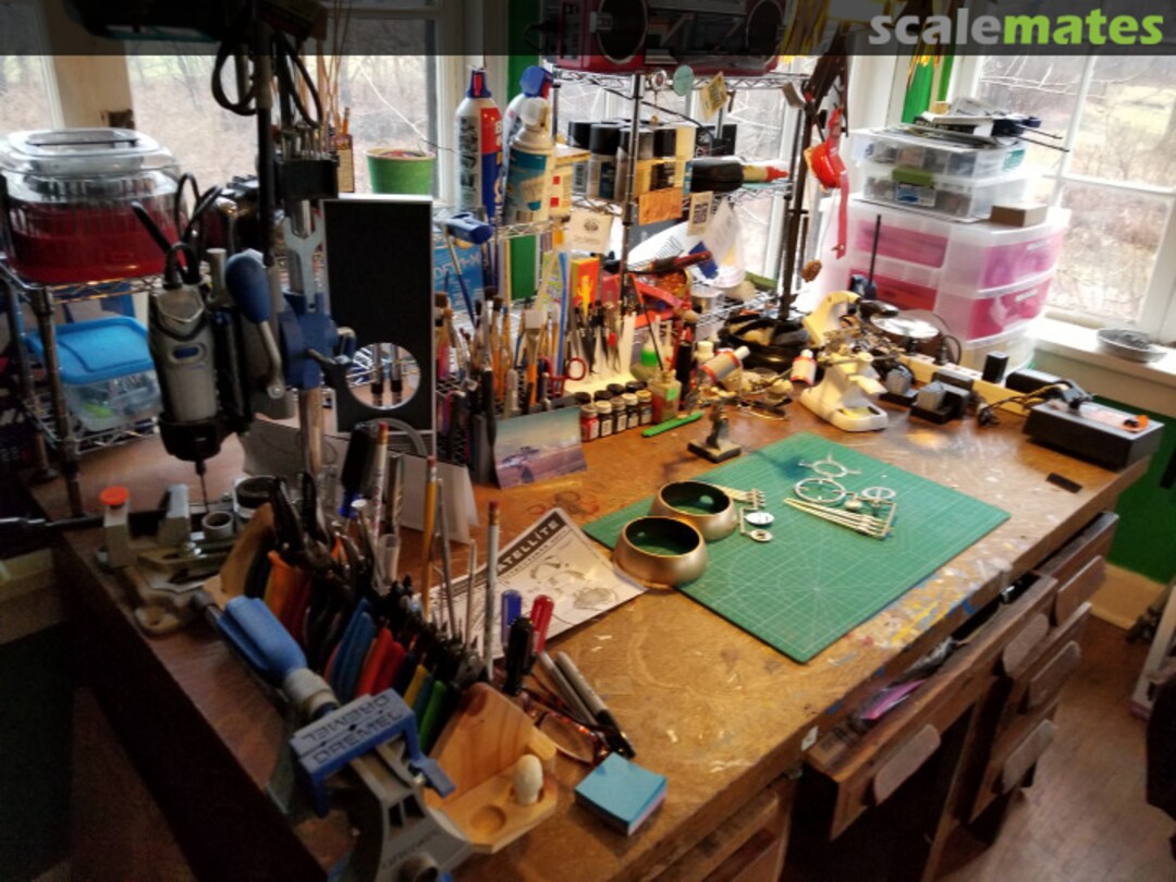 View album, image #1 View album, image #1