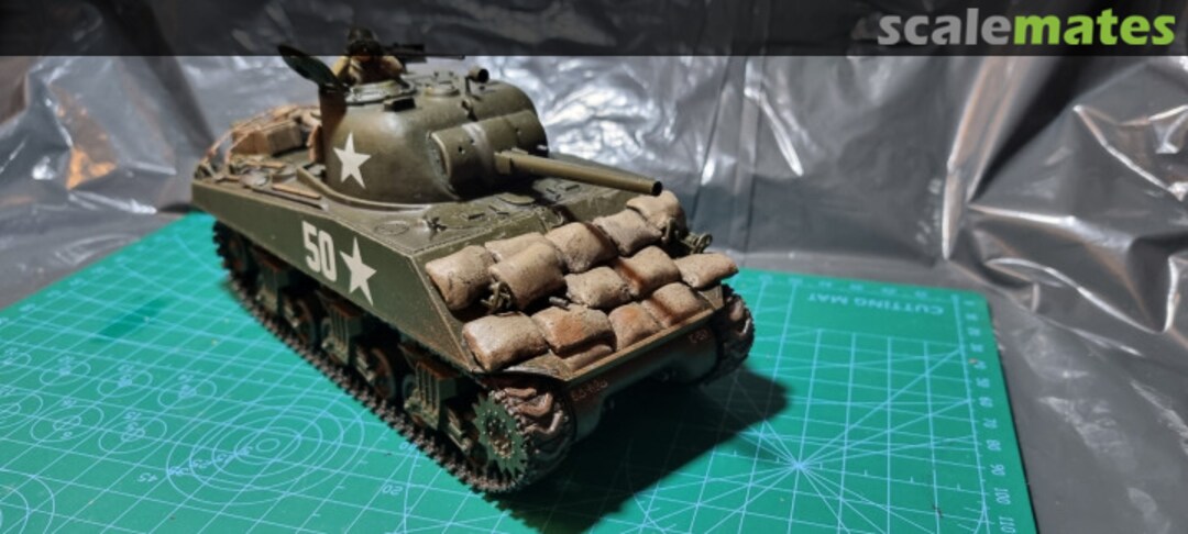 View album, image #1 View album, image #1