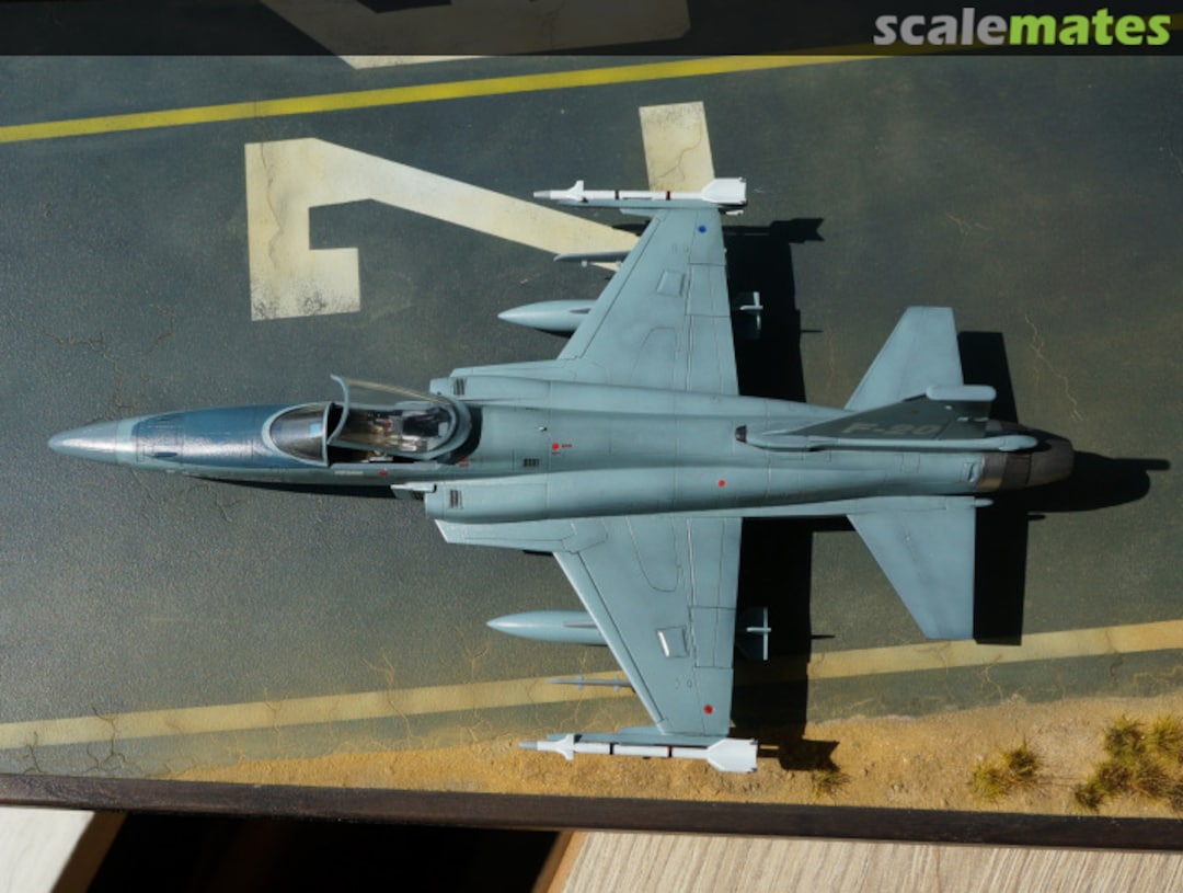 View album, image #22 View album, image #22