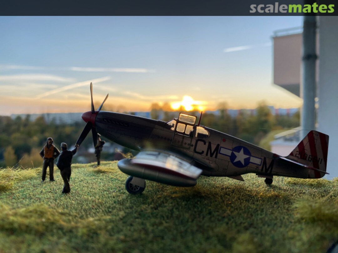 View album, image #23 View album, image #23