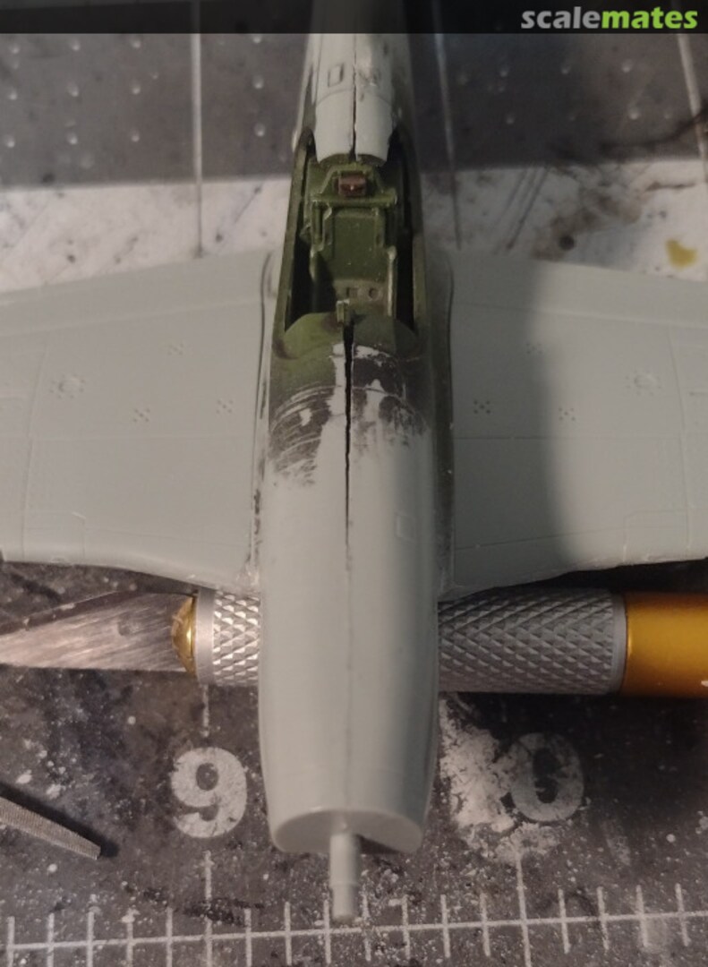 View album, image #5 View album, image #5