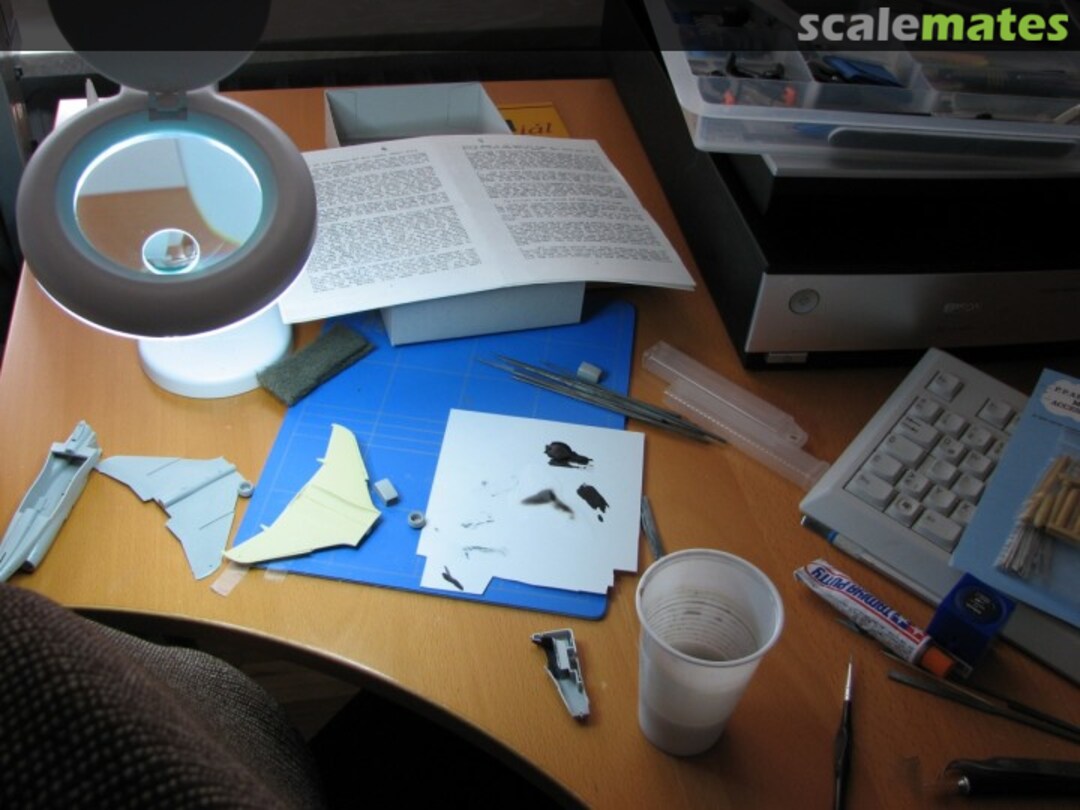 View album, image #1 View album, image #1