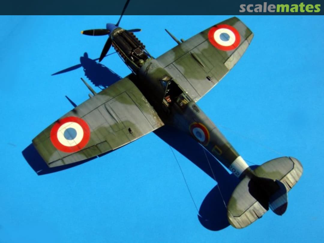 View album, image #1