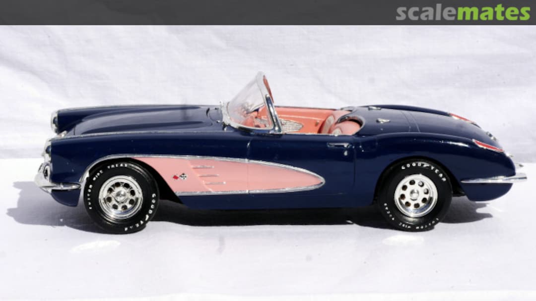 View album, image #1 View album, image #1