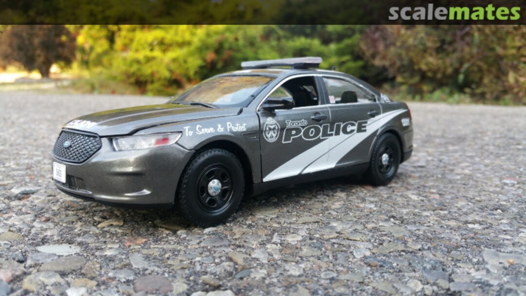 View album, image #1 View album, image #1