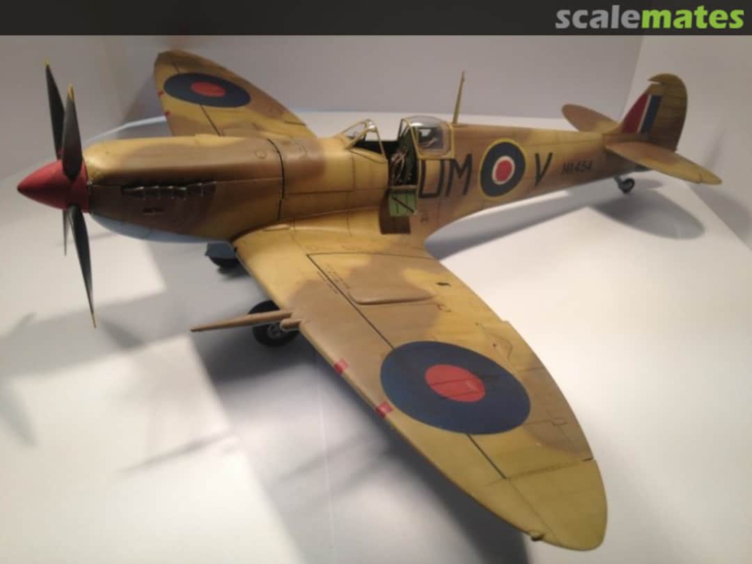 View album, image #20 View album, image #20