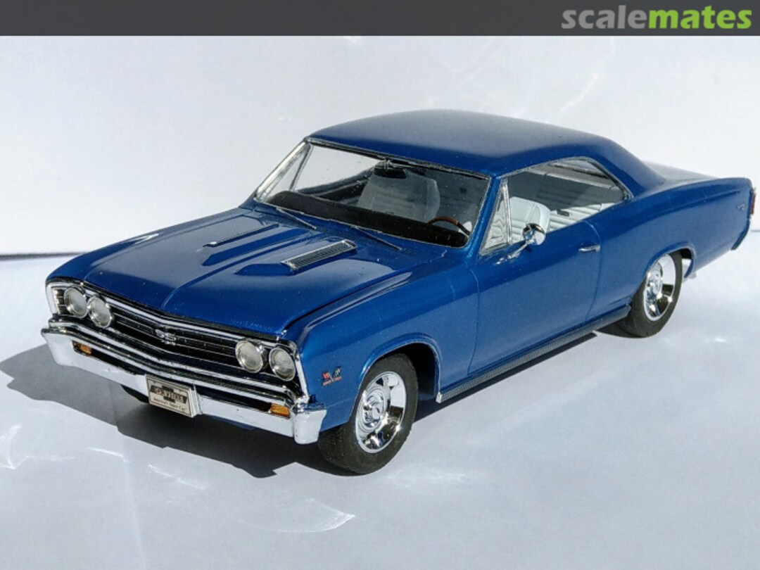 View album, image #1 View album, image #1