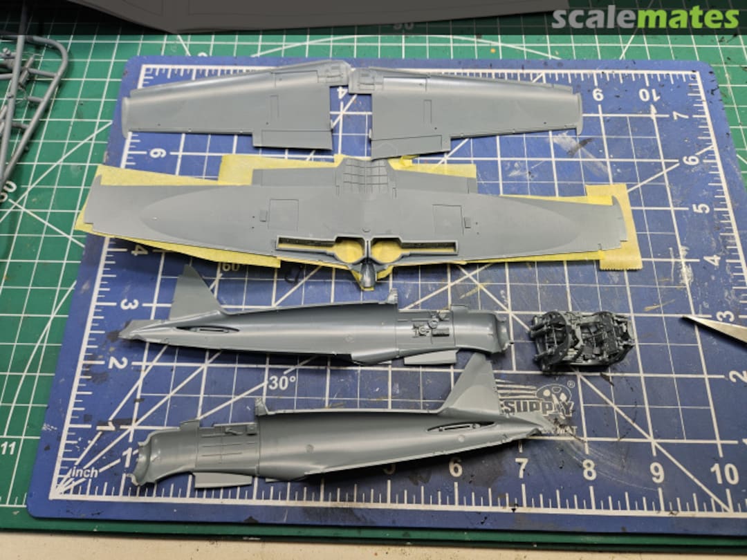 View album, image #2 View album, image #2