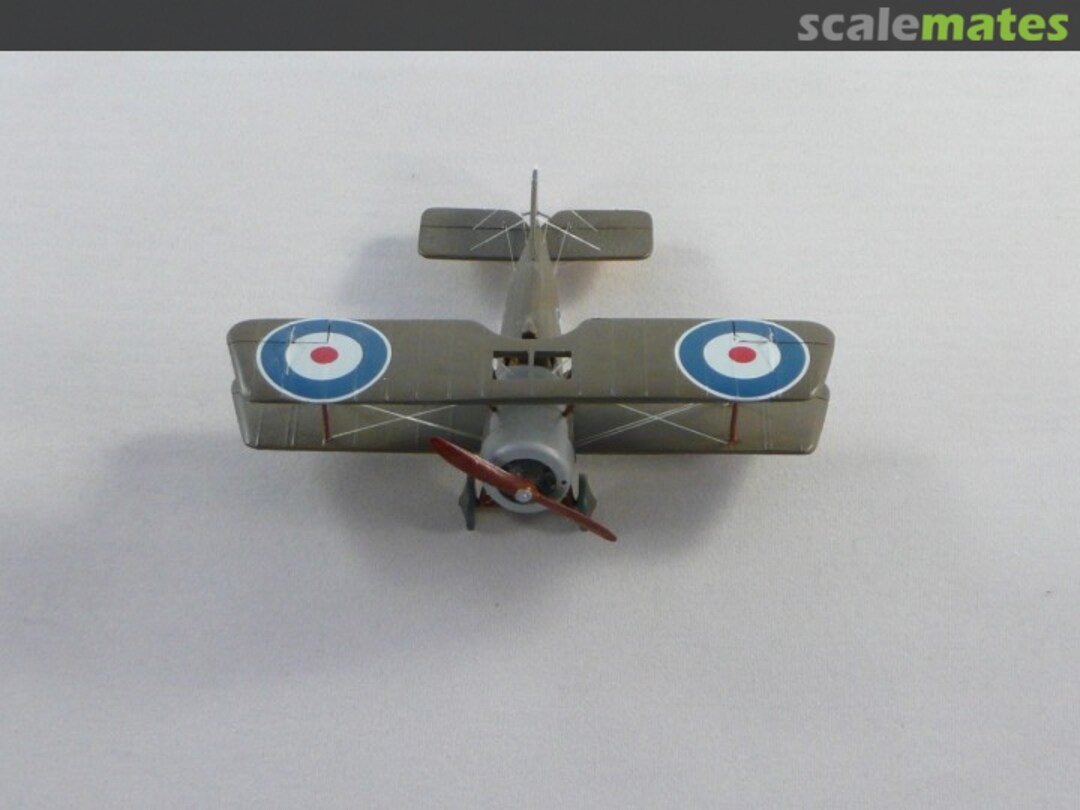 View album, image #1