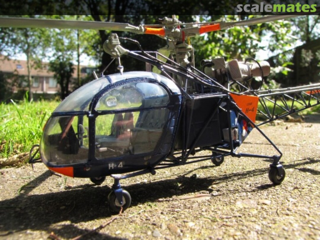 View album, image #1