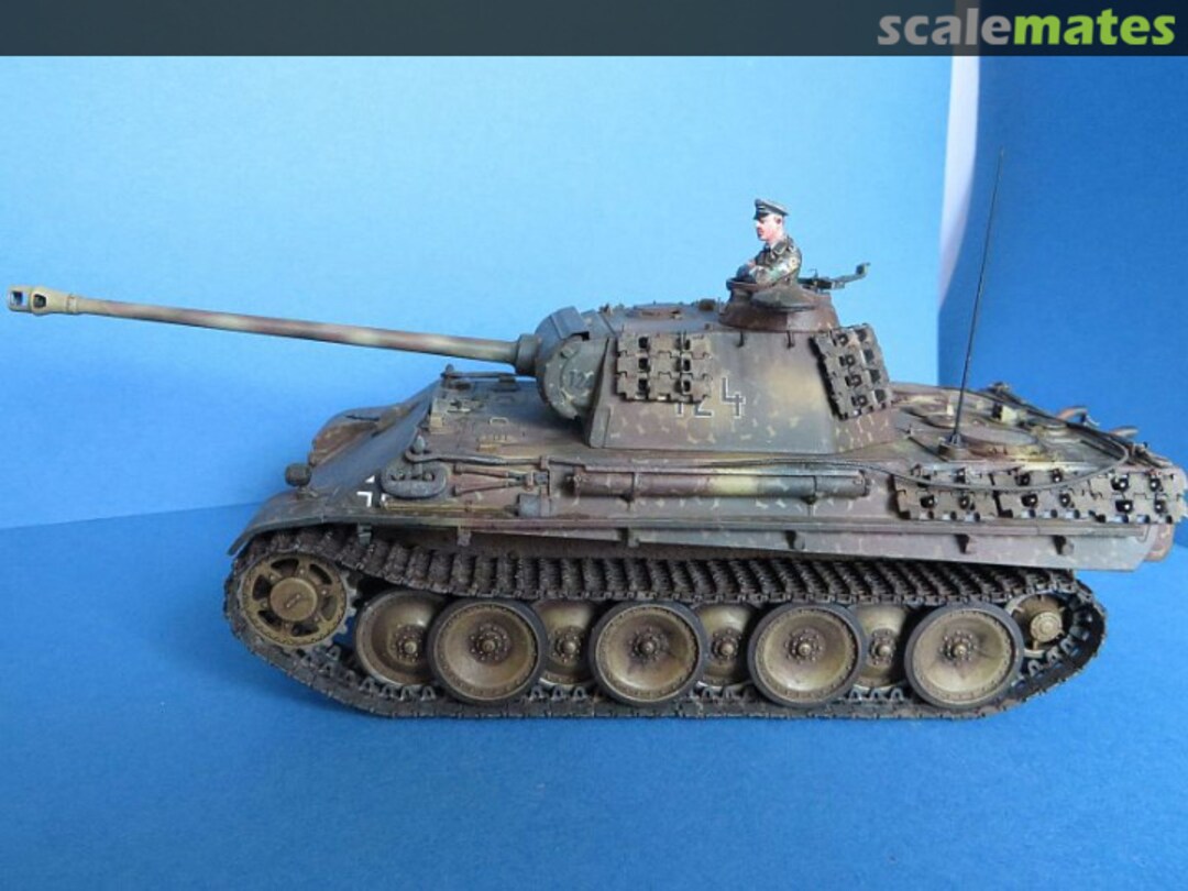 View album, image #3 View album, image #3