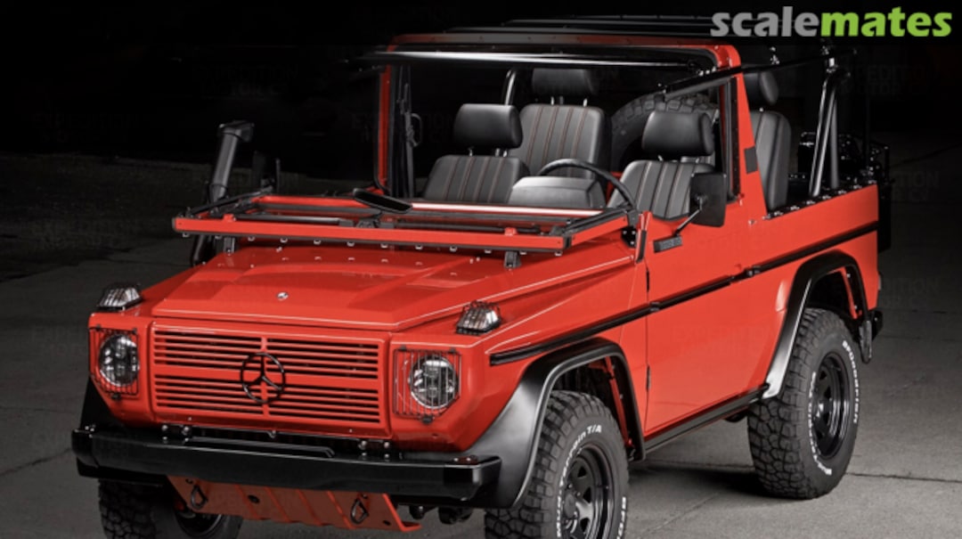 View album, image #8 View album, image #8