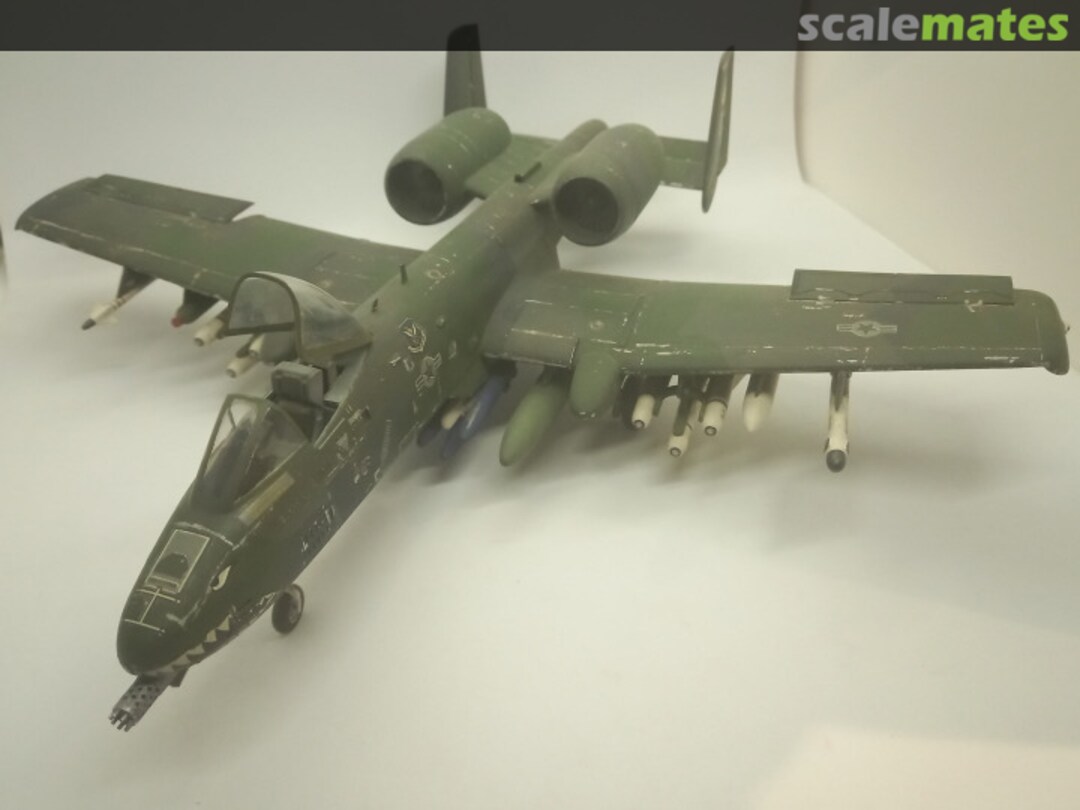 View album, image #1 View album, image #1