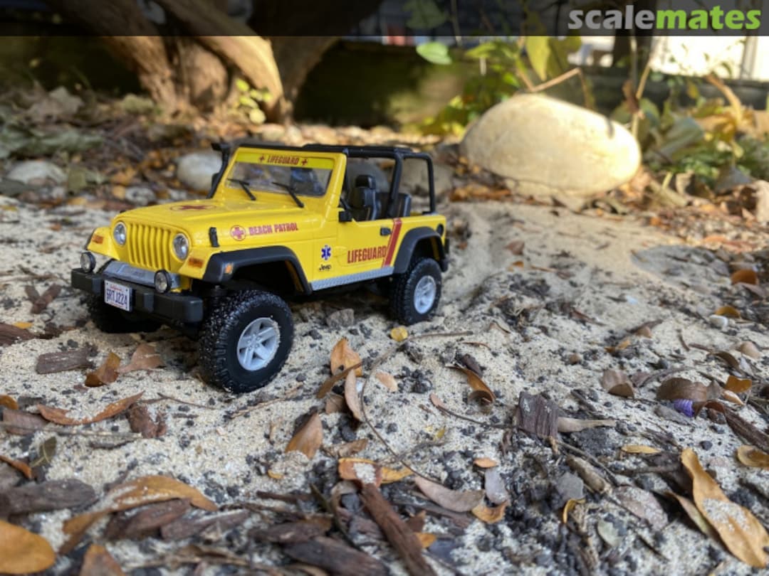 View album, image #1 View album, image #1