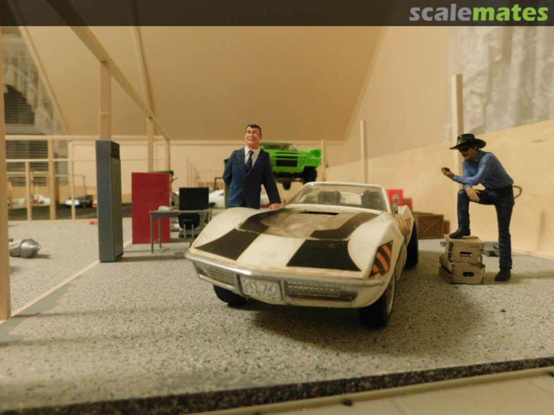 View album, image #1 View album, image #1