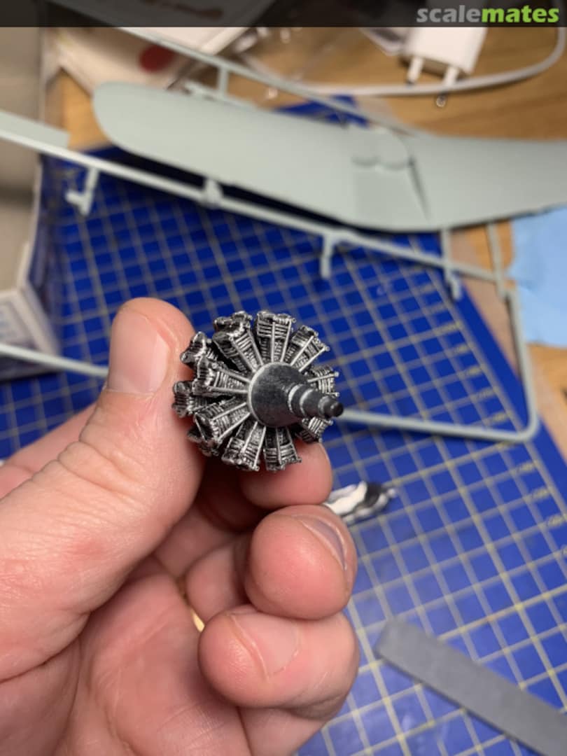 View album, image #1 View album, image #1