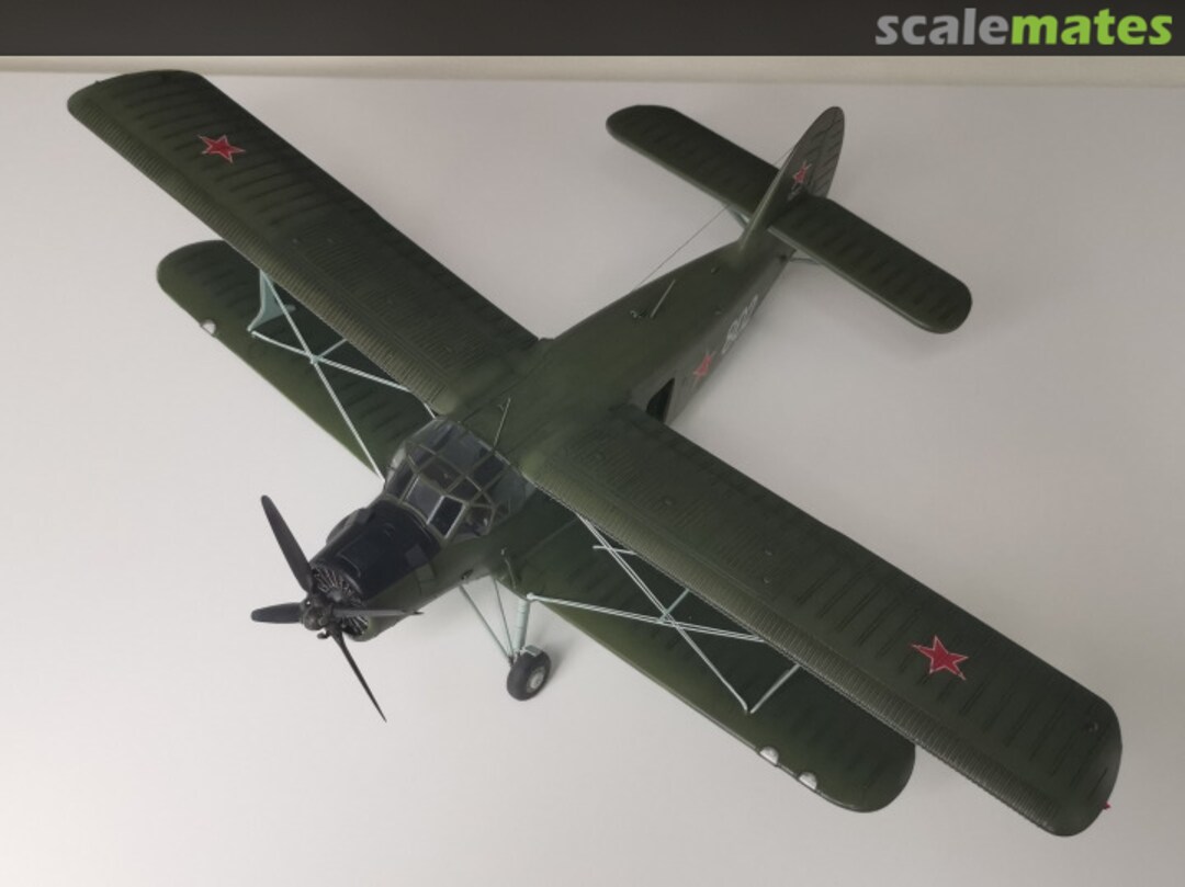 View album, image #3 View album, image #3