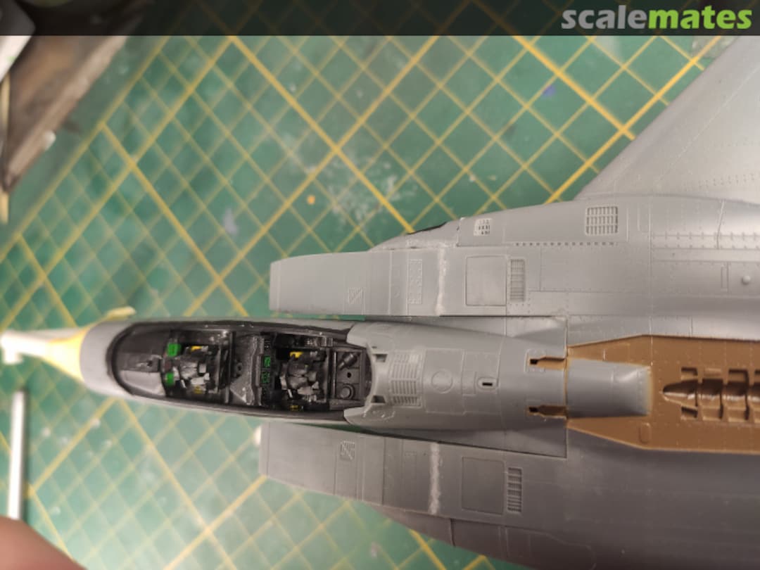 View album, image #1 View album, image #1