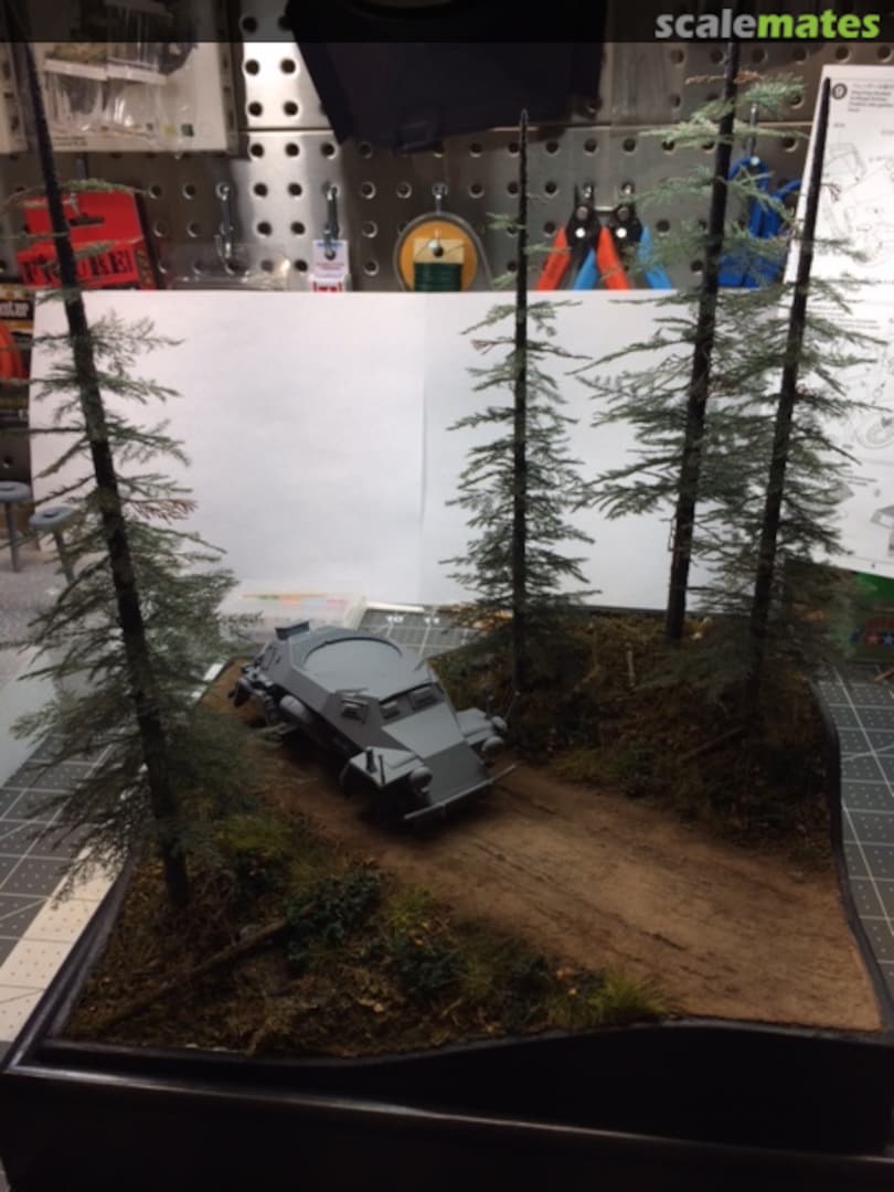 View album, image #1 View album, image #1