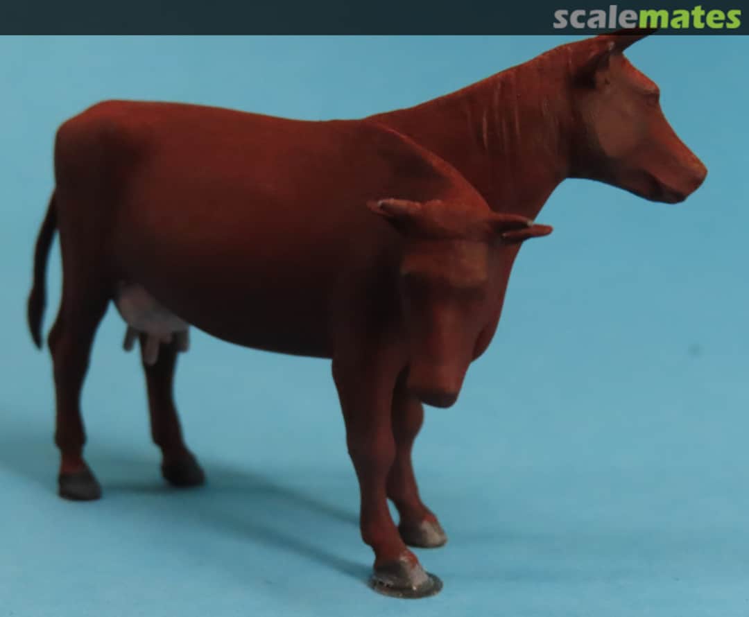 View album, image #21