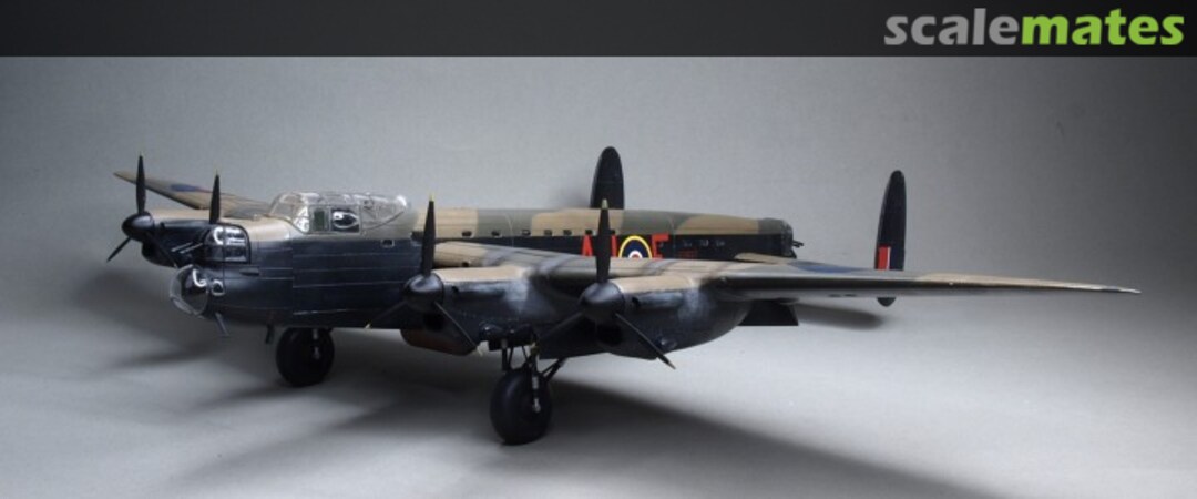 View album, image #1 View album, image #1