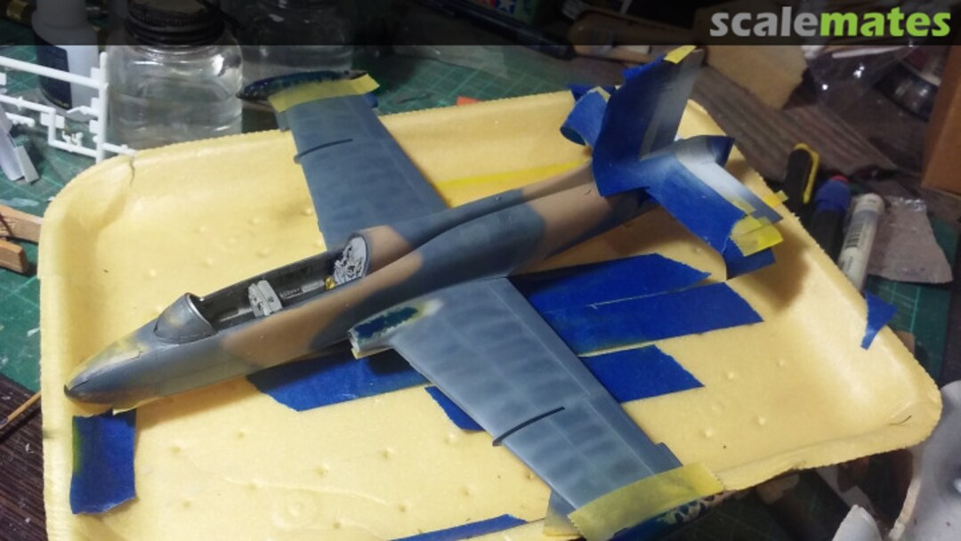 View album, image #1 View album, image #1