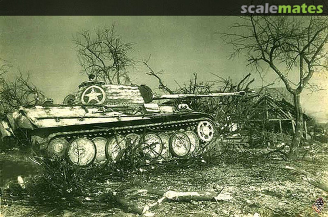 View album, image #1