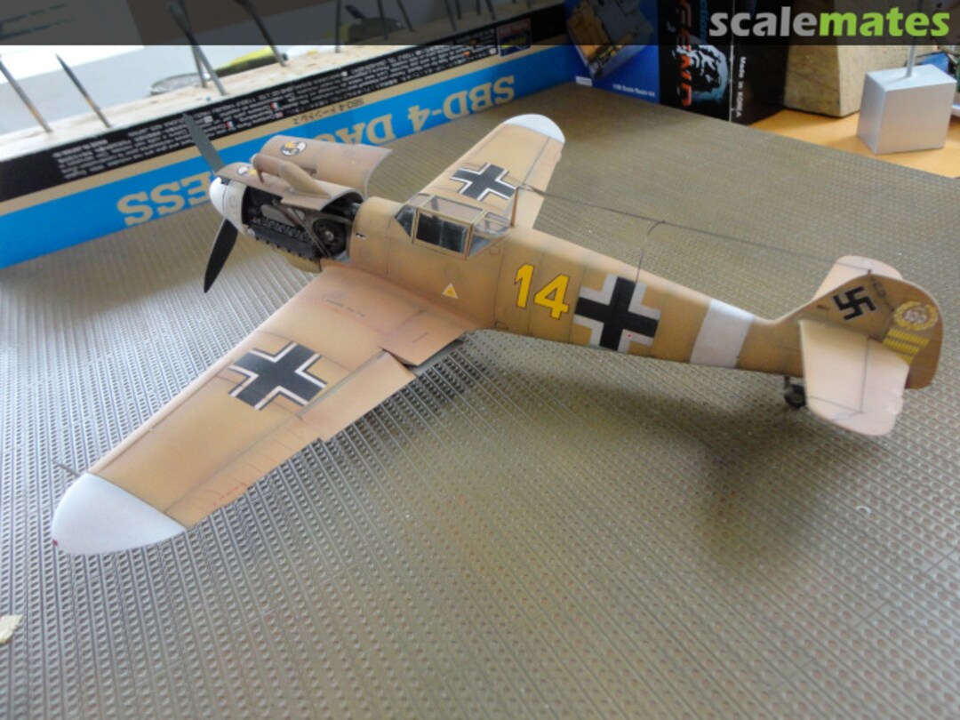 View album, image #1