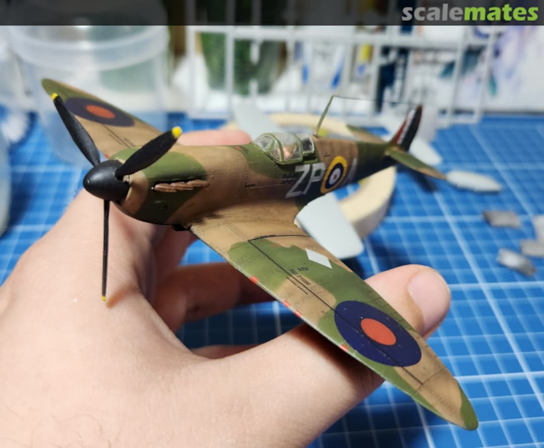 View album, image #1 View album, image #1