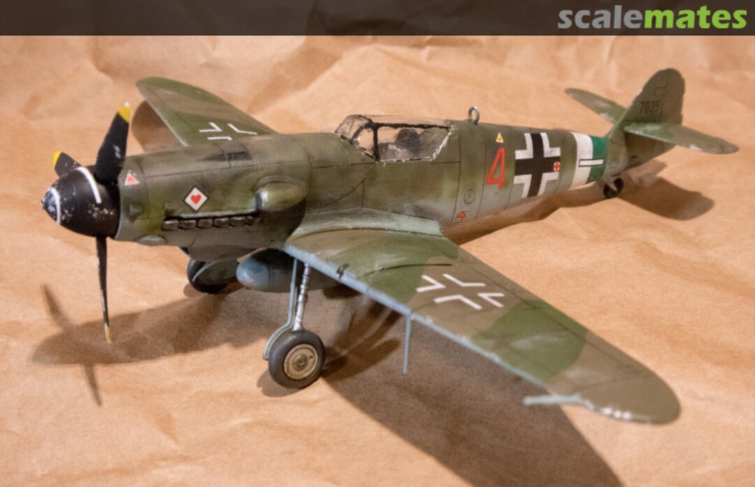 View album, image #9 View album, image #9