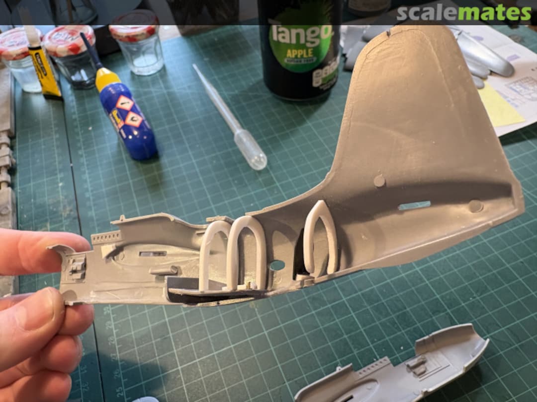 View album, image #5 View album, image #5