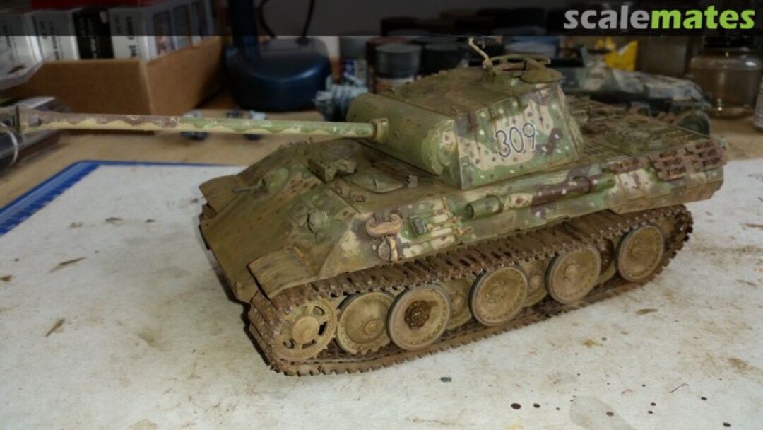 View album, image #14 View album, image #14