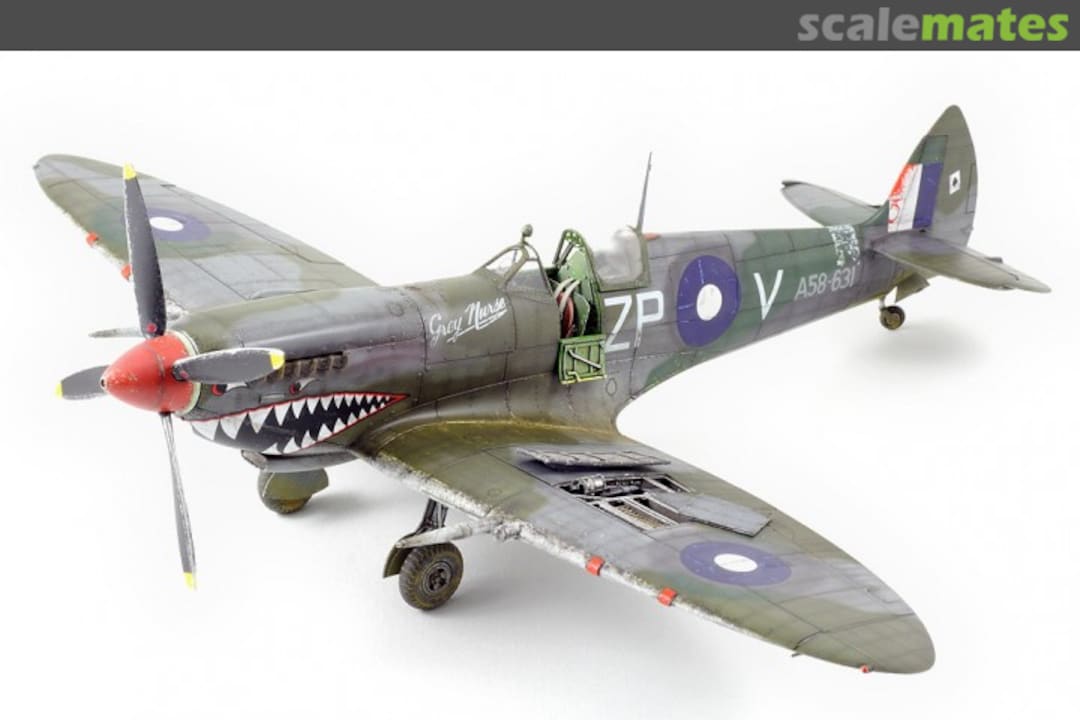 View album, image #1 View album, image #1