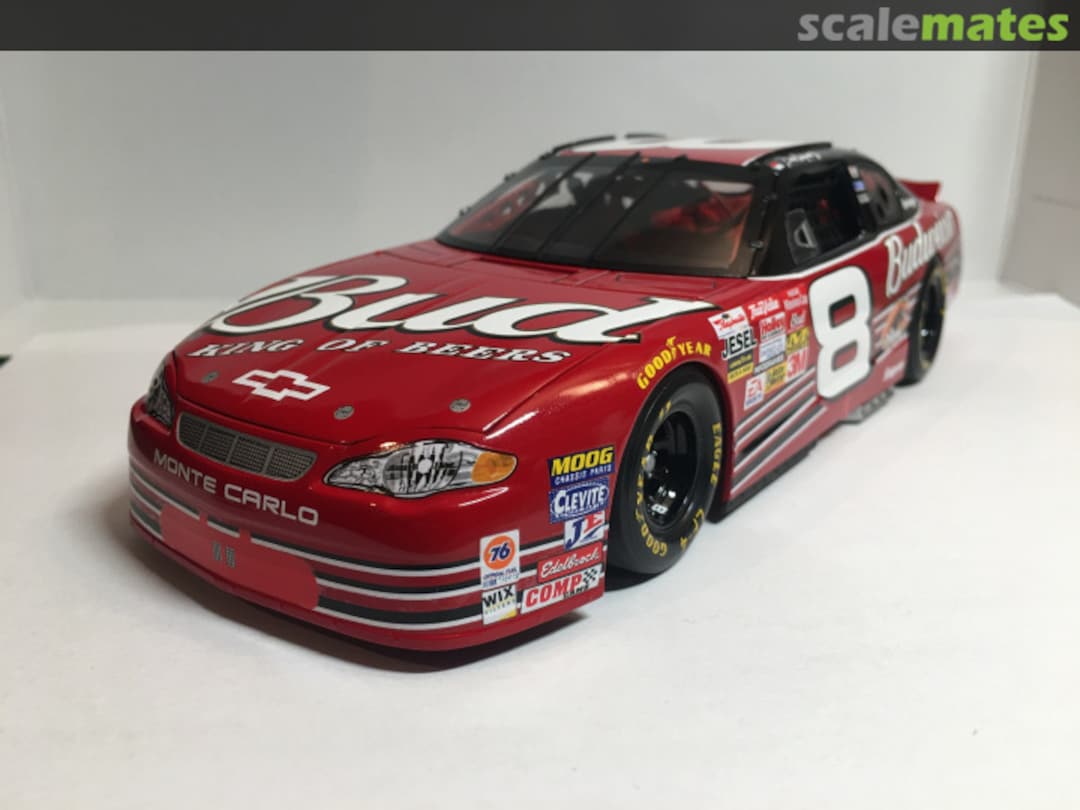 View album, image #1 View album, image #1