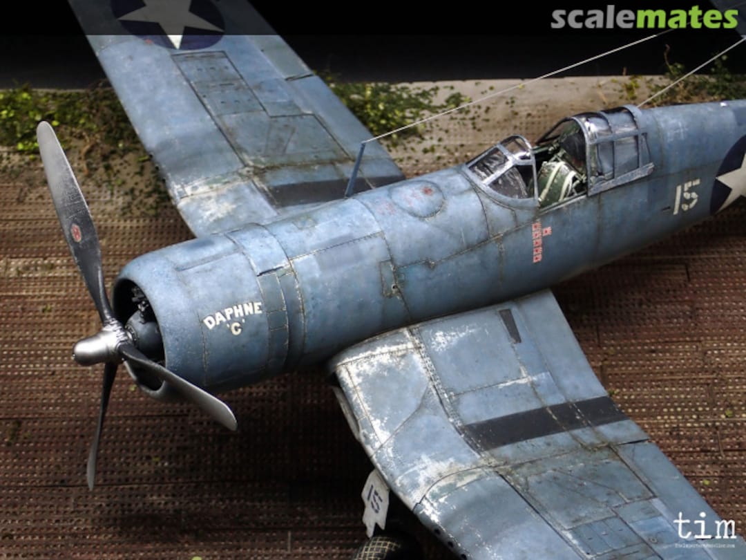 View album, image #2