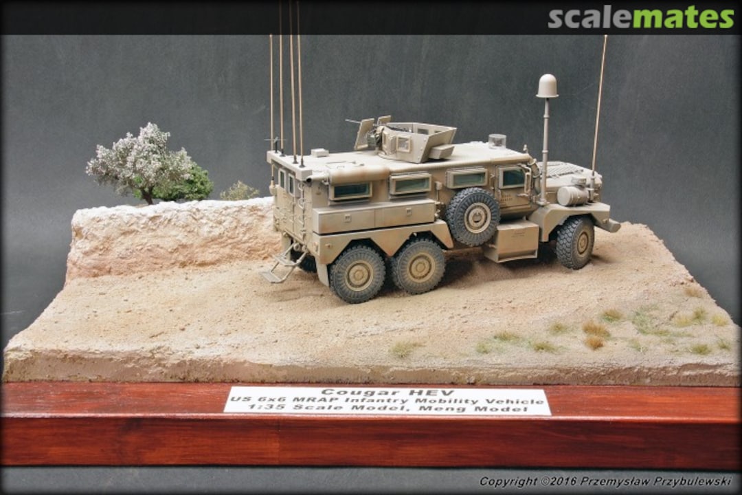 View album, image #1 View album, image #1