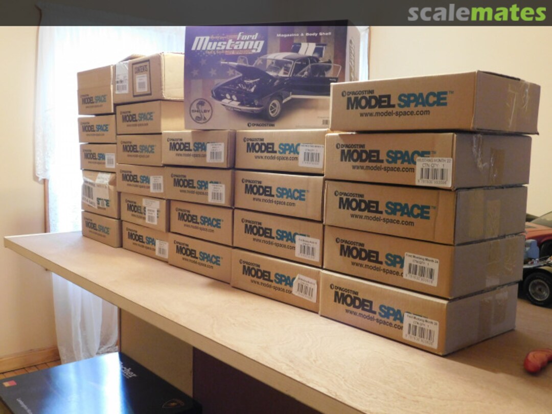 View album, image #1 View album, image #1