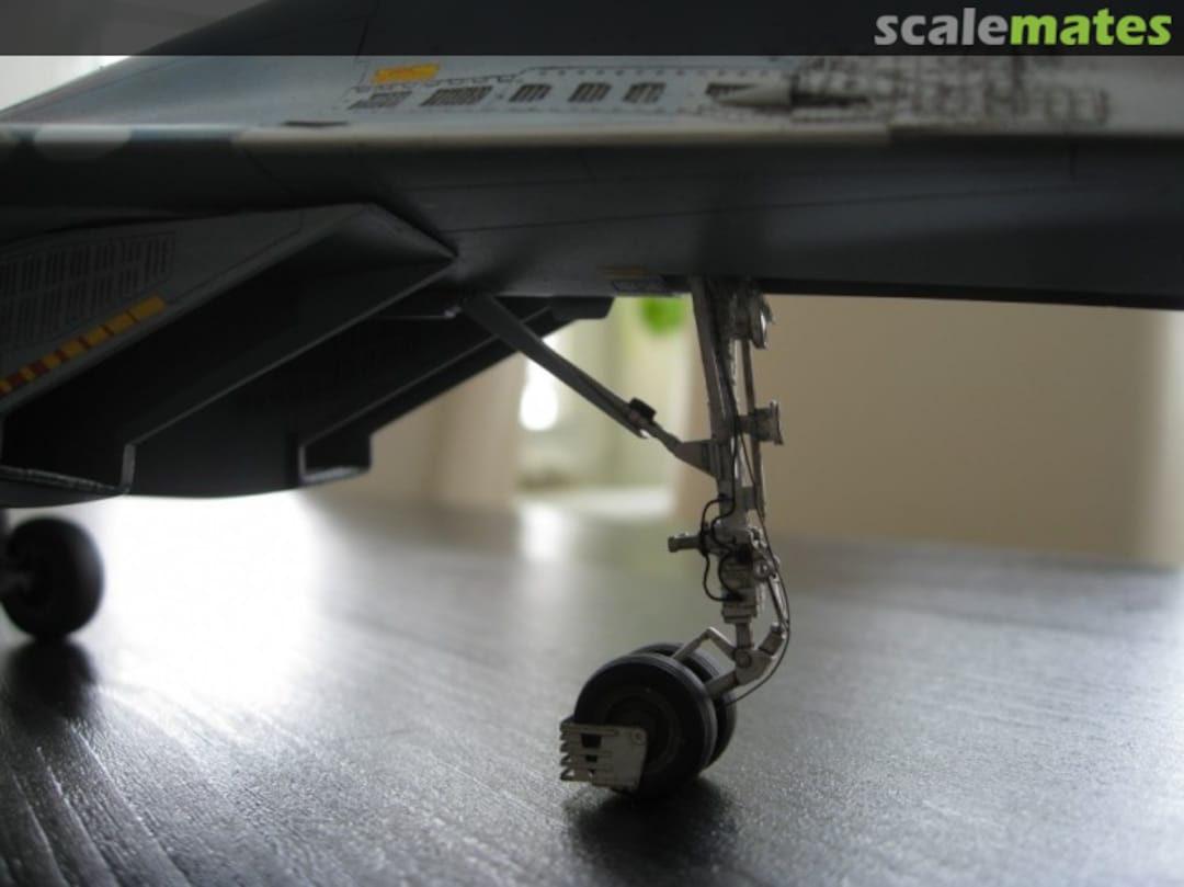 View album, image #5 View album, image #5